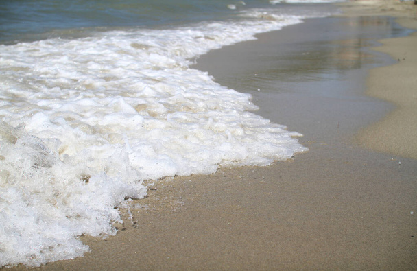 aalto roiske meri ranta makro, lähikuva - Valokuva, kuva