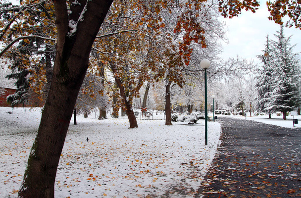 Χιόνι στο πάρκο, χειμερινό πάρκο στο χιόνι - Φωτογραφία, εικόνα