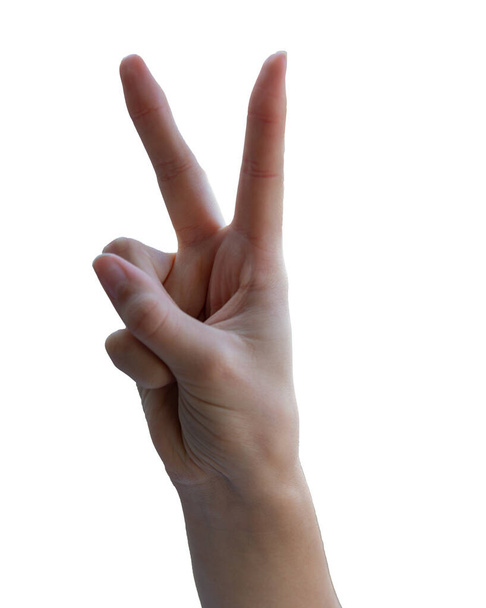 mano aislada sobre fondo blanco, signo de paz con dos dedos . - Foto, imagen