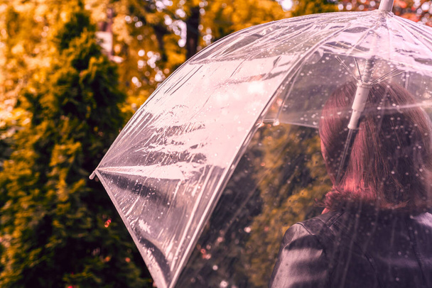 Autumn. Lonely sad redhead woman walking in a park, garden. View through wet  transparent umbrella with rain drops. Rainy day landscape. Vintage Toned - 写真・画像
