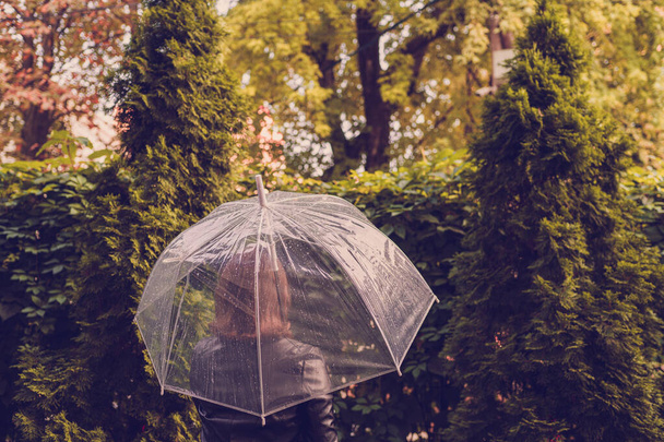 Sonbahar. Şeffaf bir şemsiye altında yalnız kızıl kız. Parkta, bahçede yağmur damlaları geziyor. Yağmurlu gün manzarası - Fotoğraf, Görsel