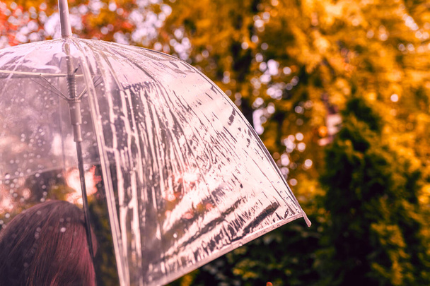 Autumn. Lonely redhead girl under a transparent umbrella with rain drops walking in a park, garden. Rainy day landscape - Foto, afbeelding