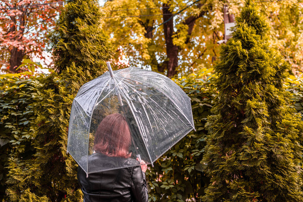 Autumn. Lonely redhead girl under a transparent umbrella with rain drops walking in a park, garden. Rainy day landscape - Photo, image
