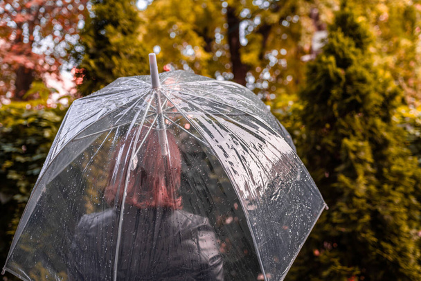 Autumn. Lonely redhead girl under a transparent umbrella with rain drops walking in a park, garden. Rainy day landscape - Foto, immagini