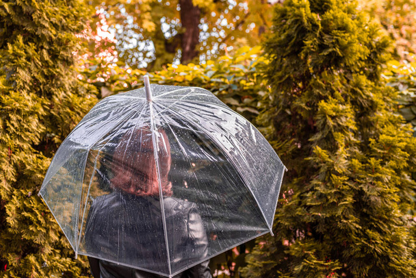Autumn. Lonely sad woman under a transparent umbrella with rain drops walking in a park, garden. Rainy day landscape. Vintage Toned - 写真・画像