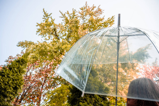 Autumn. Lonely redhead girl under a transparent umbrella with rain drops walking in a park, garden. Rainy day landscape - Φωτογραφία, εικόνα