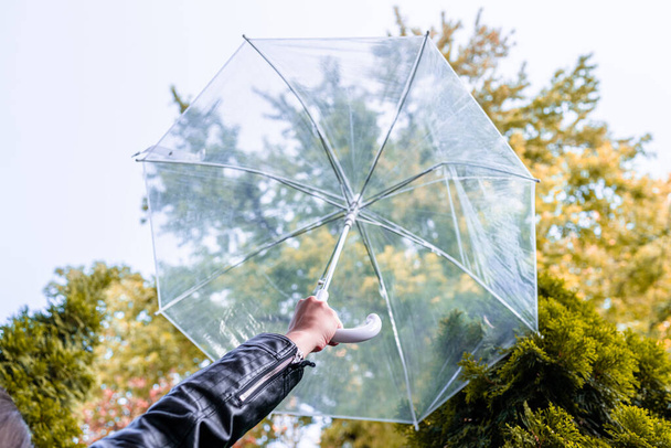 Autumn. Girl hand with transparent umbrella walking in a park, garden. Rainy day landscape - Φωτογραφία, εικόνα