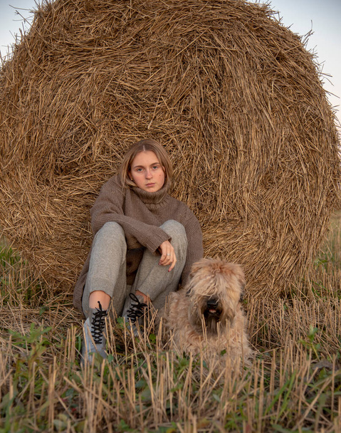 A teenage girl hugs a dog in a field while sitting by a roll of hay. Autumn calm landscape. - Фото, зображення