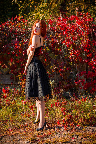 Tendência de outono, menina vestida elegante. Retrato de mulher em tons vintage. Senhora de cabelo vermelho em camisa de veludo e saia de bolinhas - Foto, Imagem