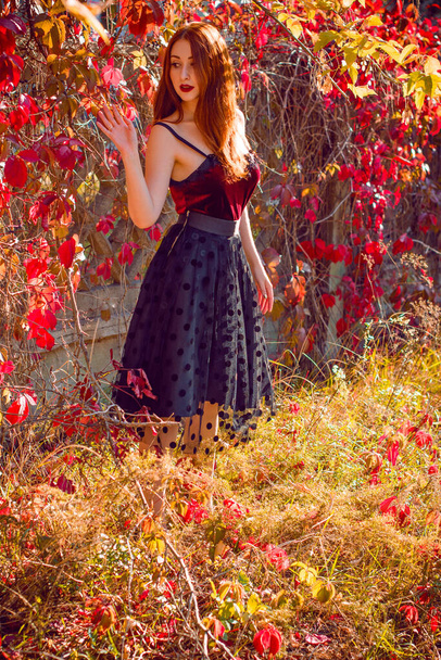 Tendenza autunno, elegante ragazza vestita. Ritratto donna dai toni vintage. Capelli rossi signora in camicia di velluto e gonna a pois - Foto, immagini