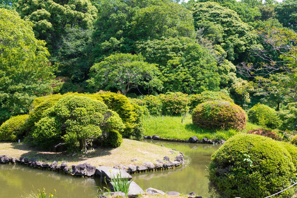 Tokyo, Japan - Koishikawa Botanical Garden in Tokyo, Japan. The gardens date to 1684, when the 5th Tokugawa shogun, Tsunayoshi, established the Koishikawa Medicinal Herb Garden. - Foto, immagini