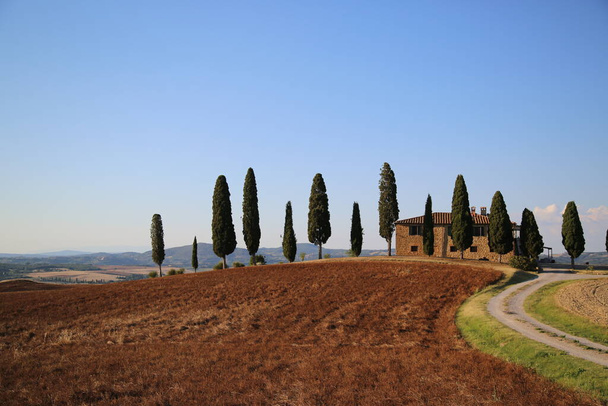 The landscape of The Val DOrcia in Tuscany, Italy - Photo, Image