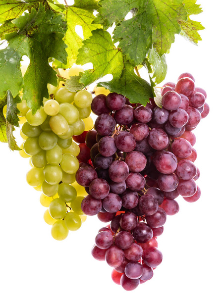 Zielone i różowe winogrona z zielonymi liśćmi na białym tle. izolat - Zdjęcie, obraz