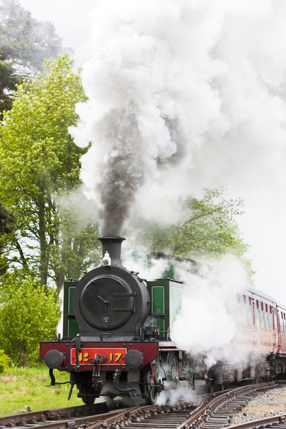 Tren de vapor - Foto, Imagen