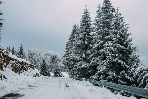 Majestic winter landscape with snowy fir trees.  Winter postcard. - Foto, Imagem