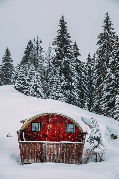 Abandoned wooden cottages up high in the mountains in winter - 写真・画像