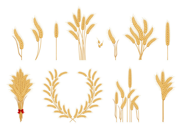 Иконы пшеничных ушей - Вектор,изображение
