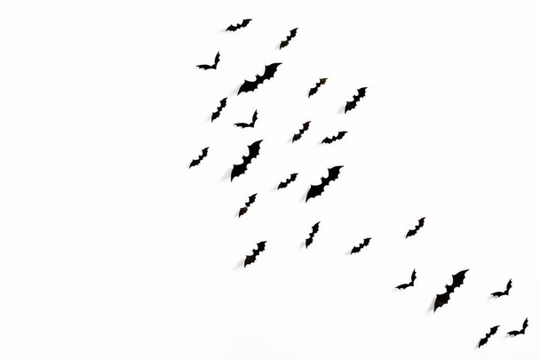 Flying bats group isolated on white background.  Halloween symbols. - Fotografie, Obrázek