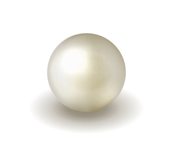 Natürliche, glänzende Perle. Vektorillustration - Vektor, Bild