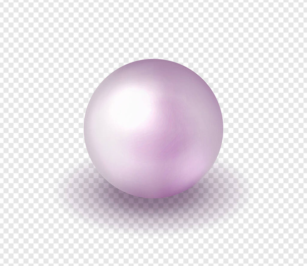 Natural, shiny, sea  pearl. Vector illustration - Vector, Image