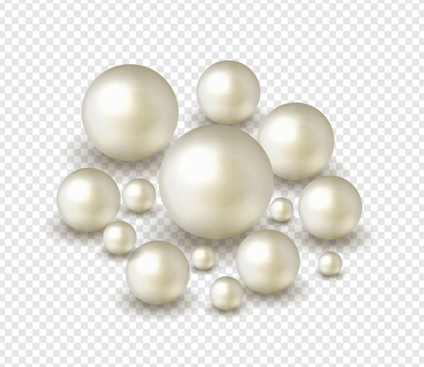 Verpacken Sie Natur, Meeresperlen Hintergrund mit kleinen und großen weißen Perlen. Vektorillustration - Vektor, Bild