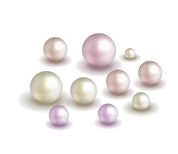 Pack nature ,sea pearl background with small and big white pearls . Vector illustration - Vector, Image