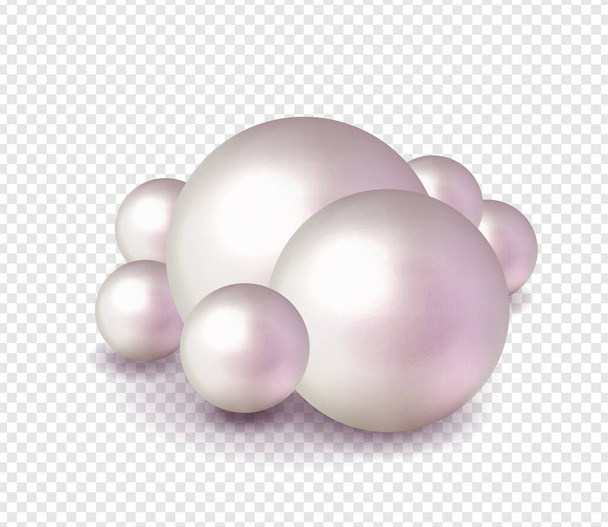 Pack nature ,sea pearl background with small and big white pearls . Vector illustration - Vector, Image