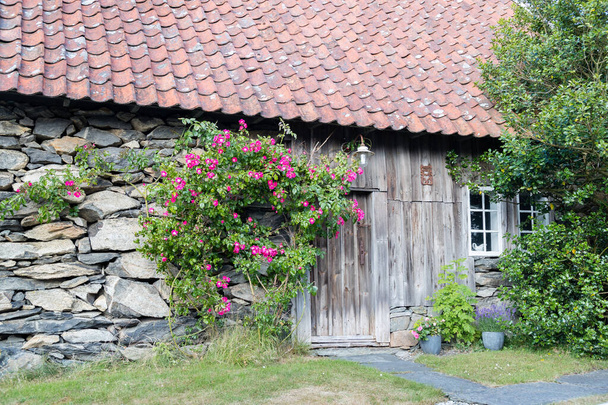 SKUDENESHAVN, NORUEGA - 2018 JULIO 05. Antigua casa de campo noruega con hermosas flores fuera - Foto, imagen
