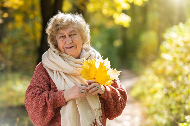Harmaahiuksinen, hymyilevä vanha nainen syyspuistossa. Onnellinen vanhuus, kävely luonnossa, positiiviset tunteet. - Valokuva, kuva