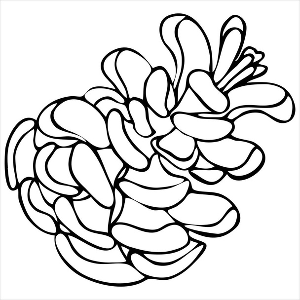 pine cone, vector element in doodle style, coloring book - Vector, Image
