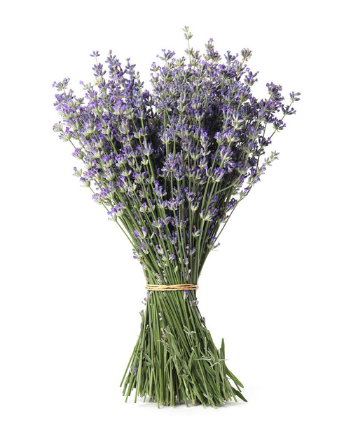 Bunch of beautiful lavender flowers on white background - Valokuva, kuva