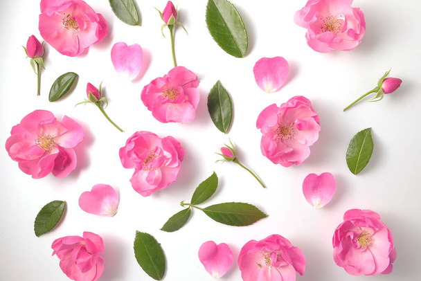 Modello floreale da teste e boccioli di rose e foglie su sfondo bianco. I petali di rosa sono come i cuori. Vista dall'alto e full frame. - Foto, immagini
