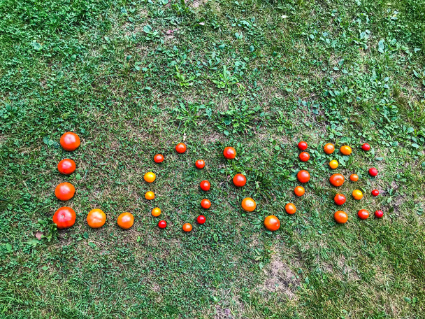 Μια λέξη από μια ντομάτα, γράμματα L, O, V, E. Η λέξη ΑΓΑΠΗ. Γράμματα από κόκκινες και κίτρινες ντομάτες στο πράσινο γρασίδι. Ημέρα αγάπης και ειρήνης. Σεφ και Ημέρα Μαγειρικής. Νωπά λαχανικά, υγιεινή διατροφή - Φωτογραφία, εικόνα