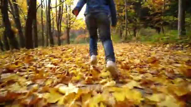 Een klein meisje rent op geel gevallen bladeren in het najaarspark. achteraanzicht. - Video