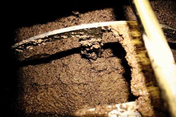 Pasta de aceituna en depósito de malaxación durante el proceso de extracción de aceite de oliva virgen extra en el molino de aceite de oliva en las afueras de Atenas en Ática, Grecia. - Foto, imagen