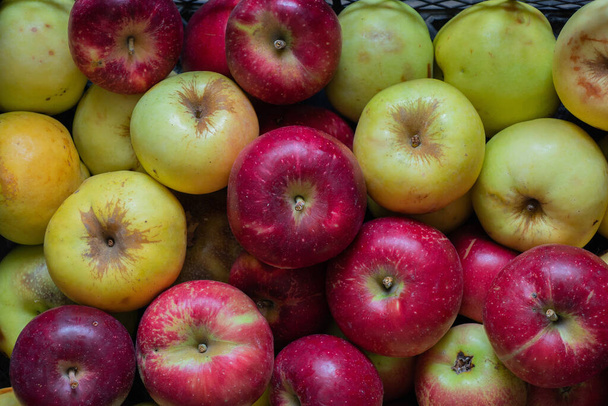 πολλά μήλα κίτρινο και κόκκινο ως φόντο, φόντο φρούτων - Φωτογραφία, εικόνα