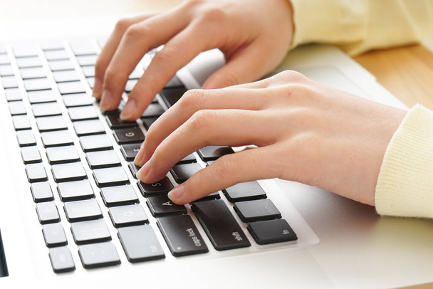 vrouwelijke handen typen op laptop, close-up  - Foto, afbeelding