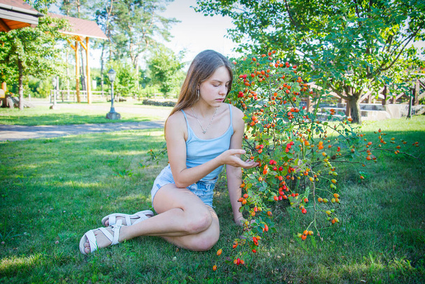 In summer, on a bright sunny day, a girl sits near a rosehip bush. - Fotó, kép