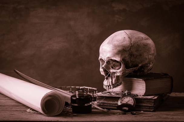 Still life skull - Photo, Image
