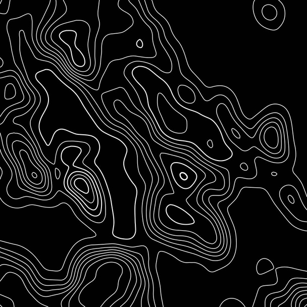 Topographic map. Black lines on white background. Contour abstract background. Vector illustration. - Vector, Image