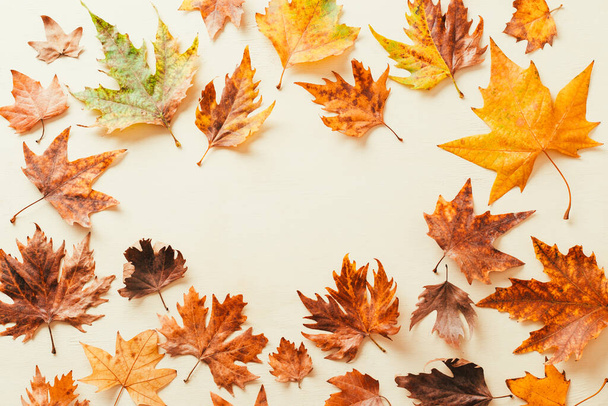frame gemaakt van herfstesdoorn bladeren. kopieer specerij - Foto, afbeelding