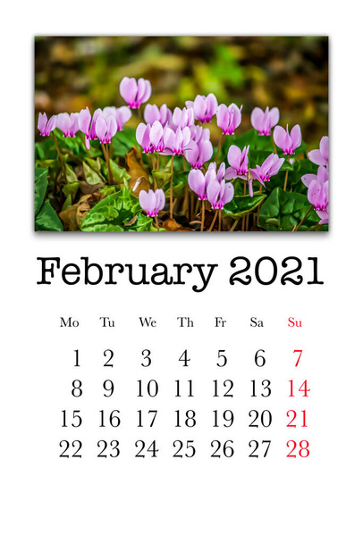 Tarjeta de calendario para el mes de febrero de 2021 - Foto, Imagen