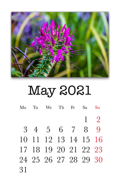 Kalendářní karta pro měsíc květen 2021 - Fotografie, Obrázek