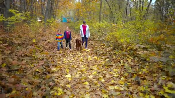 Mutlu, birbirine kenetlenmiş aile, güz parkında köpek İrlandalısıyla yürüyor. Birbirine bağlı aile kavramı.. - Video, Çekim