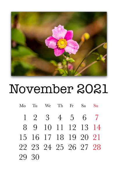 Κάρτα ημερολογίου για τον Νοέμβριο 2021 - Φωτογραφία, εικόνα