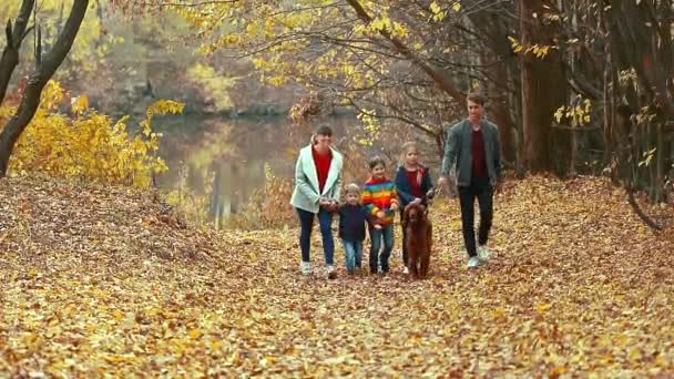 Onnellinen tiivis perhe kävelee syksyn puistossa koiran irlantilaisen setterin kanssa. Tiiviiden perheiden käsite. - Materiaali, video