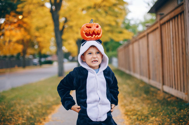 Trick or treat. Funny grumpy angry child boy with red pumpkin on head. Kid going to trick or treat on Halloween holiday. Adorable mad boy in party panda costume. Natural emotions. - Photo, Image