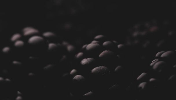 Blackberries Macro close up, selective focus - 写真・画像
