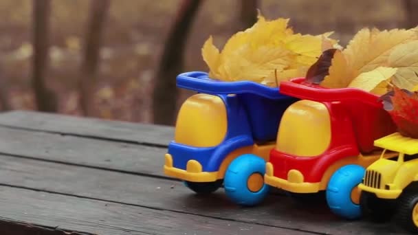 Quatro pequenos brinquedos caminhão é carregado com folhas amarelas caídas. O carro fica em uma superfície de madeira contra um fundo de um parque de outono embaçado. Limpeza e remoção de folhas caídas. Obras sazonais - Filmagem, Vídeo