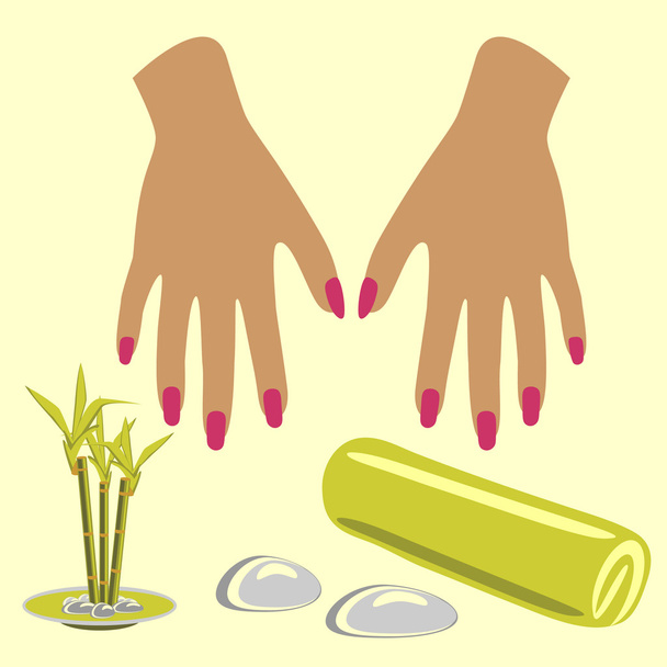 Woman hands. Manicure. - Vector, Image